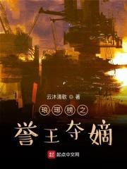 琅琊榜之誉王夺嫡