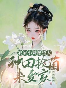 本世子拥兵80万