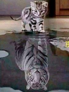 周正