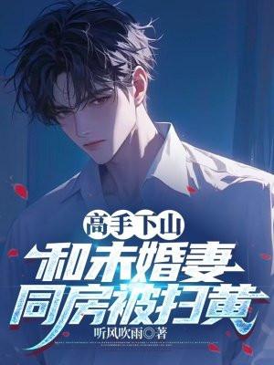 灰姑娘不是我