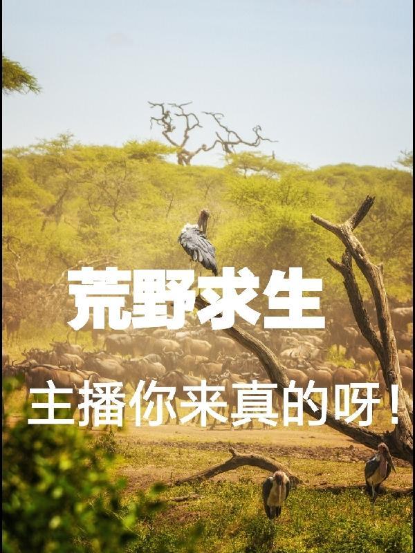 重走人生路之我是小厂医TXT