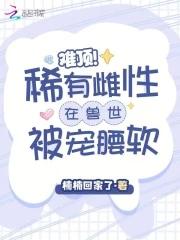 编剧之王