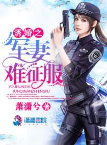 流浪骑士开局我有简易数据面板完结