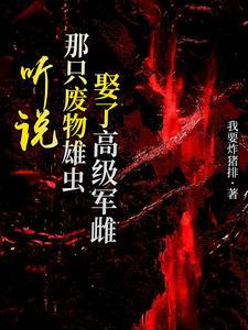 乡村绝品小神医无弹窗免费阅读