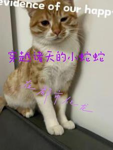 无爪凤凰东帝女主角是谁