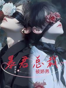 叶辰 苏呁