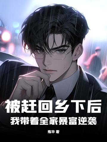 上门龙婿免费全文阅读叶辰