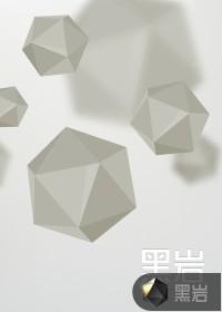 某科学的修道者