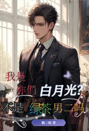 穿越大周xtx