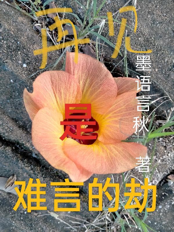 怪猎猎人的笔记TXT
